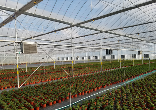 水源熱泵-青州冀紅偉